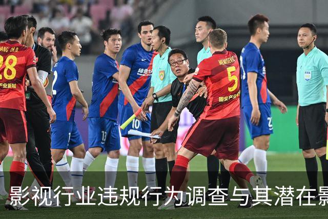 影视行业违规行为调查与其潜在影响